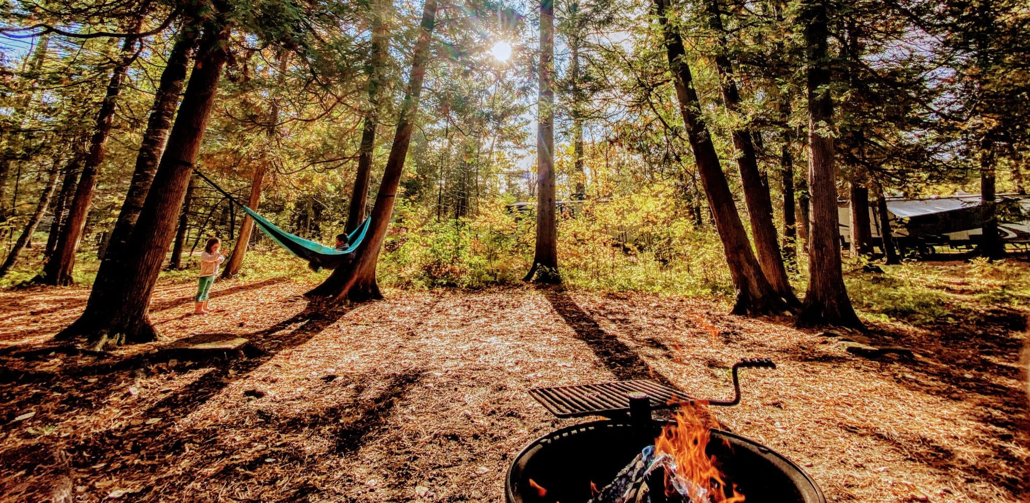A family campsite among tall trees with a campfire in the foreground