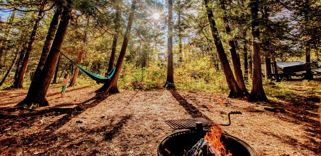 A family campsite among tall trees with a campfire in the foreground